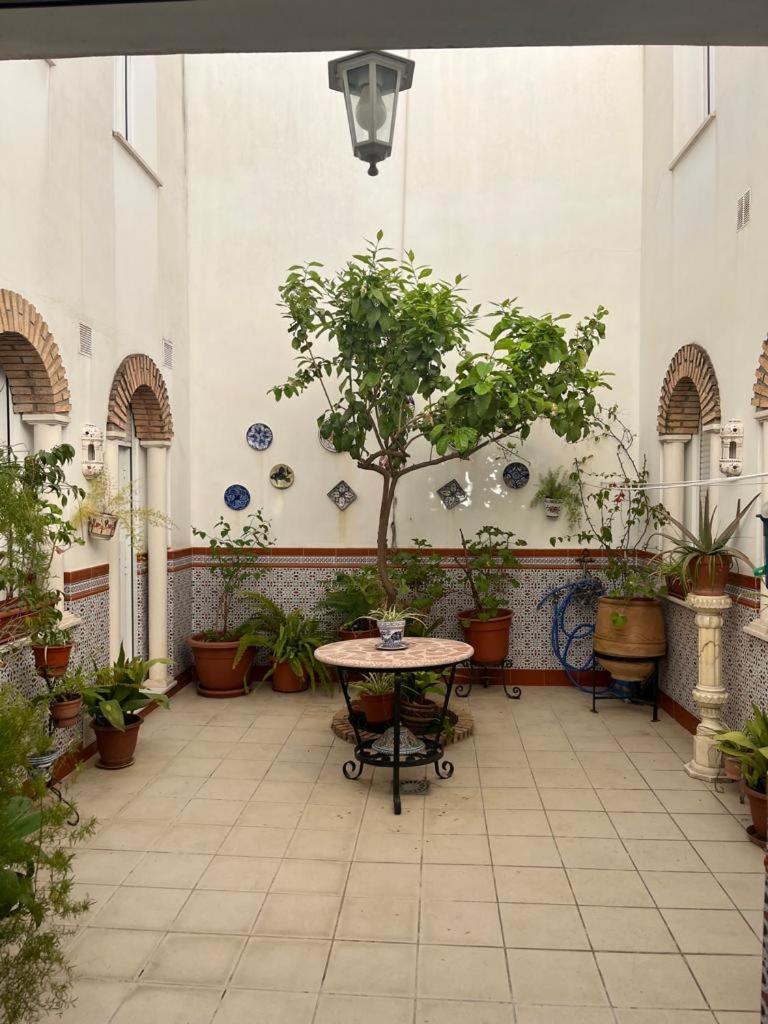 Alyana Hostel Кордоба Екстериор снимка
