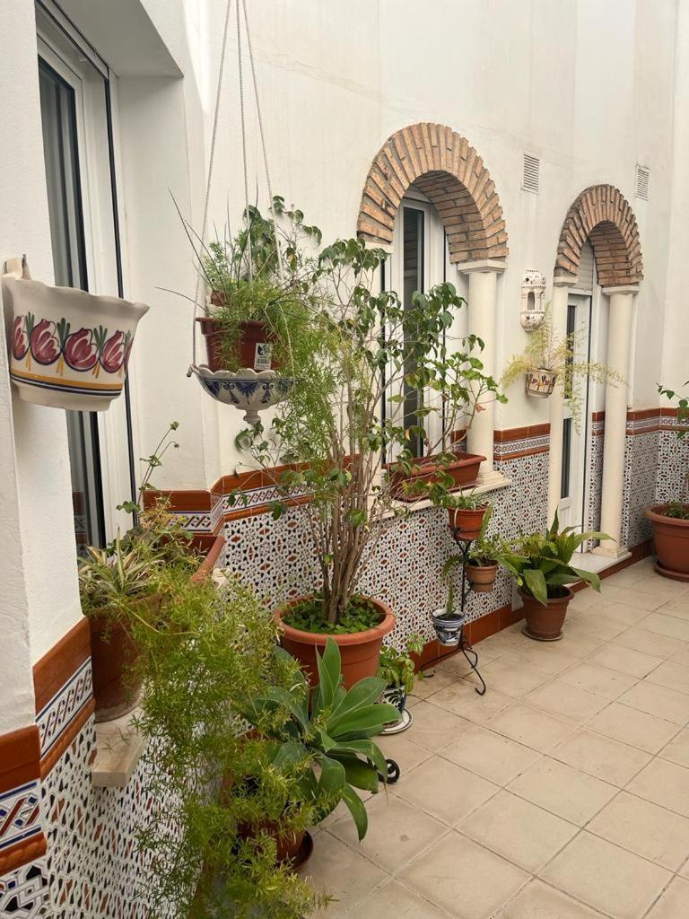Alyana Hostel Кордоба Екстериор снимка