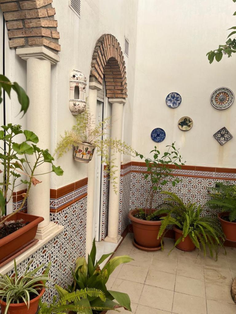 Alyana Hostel Кордоба Екстериор снимка